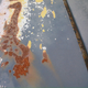 Illustration for article titled Wisconsin Rust Trip